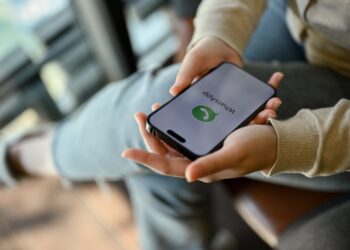 WhatsApp Meta AI