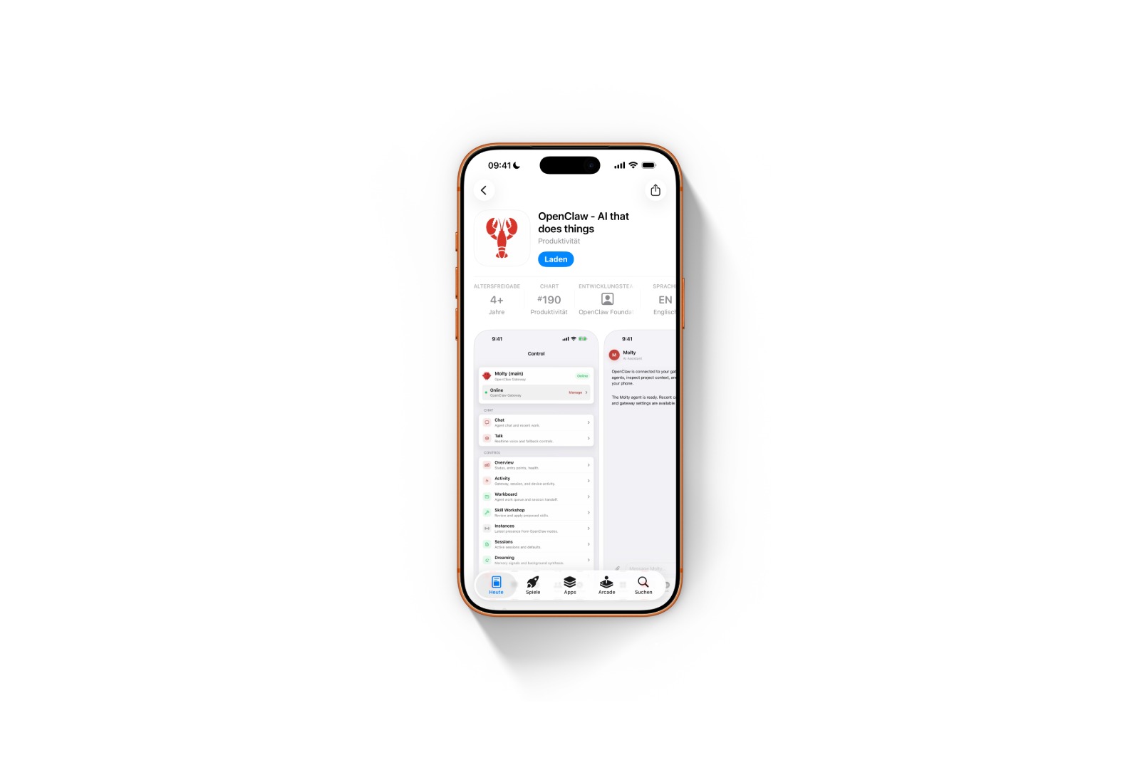 Openclaw iOS App
